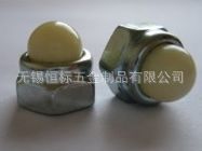 DIN986尼龙盖帽