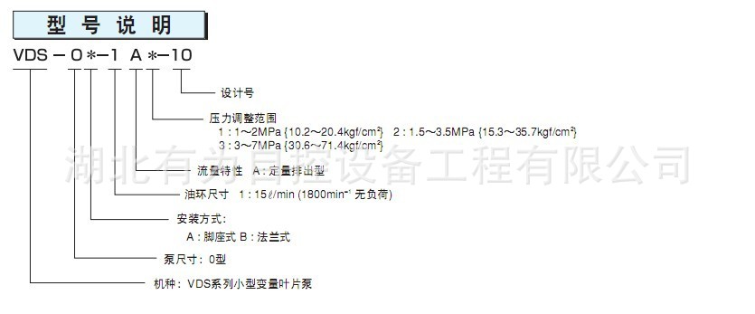 VDS叶片泵1