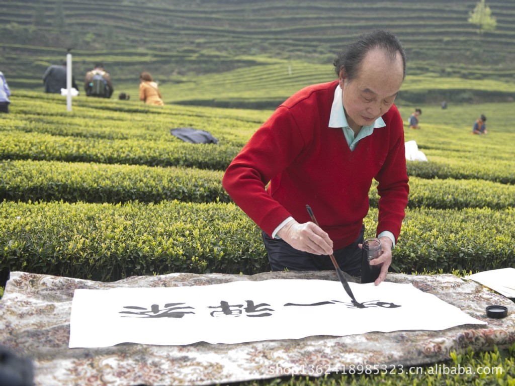 红茶-有机蒸青红茶茶叶<em>恩施</em>特产<em>恩施</em>富硒茶女