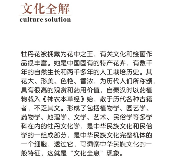 40詳情2