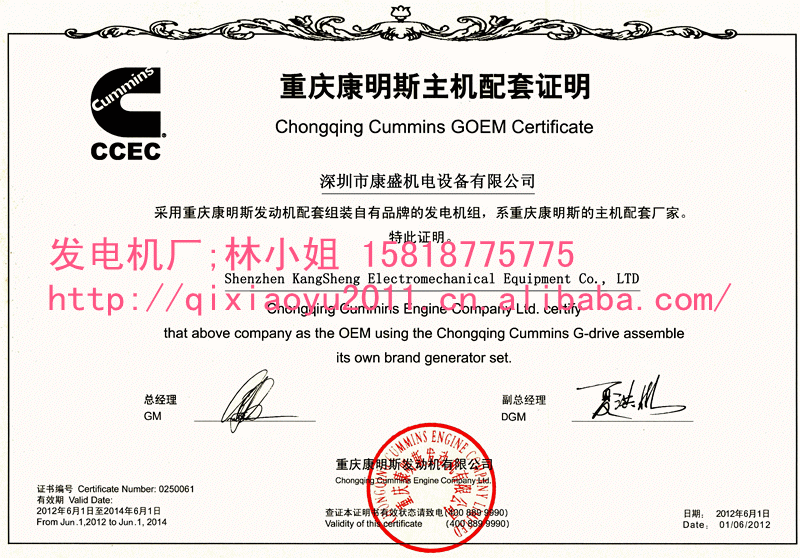 康盛康明斯_副本