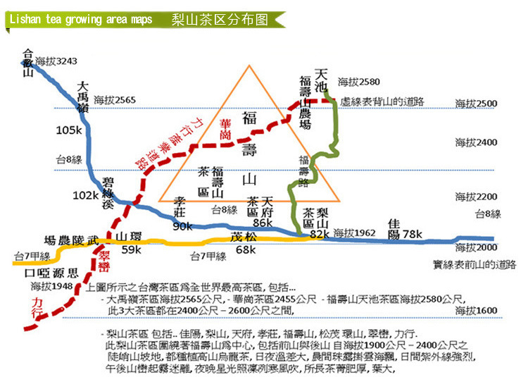 梨山茶区