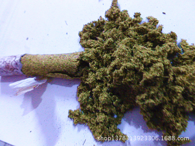 P1020009_800