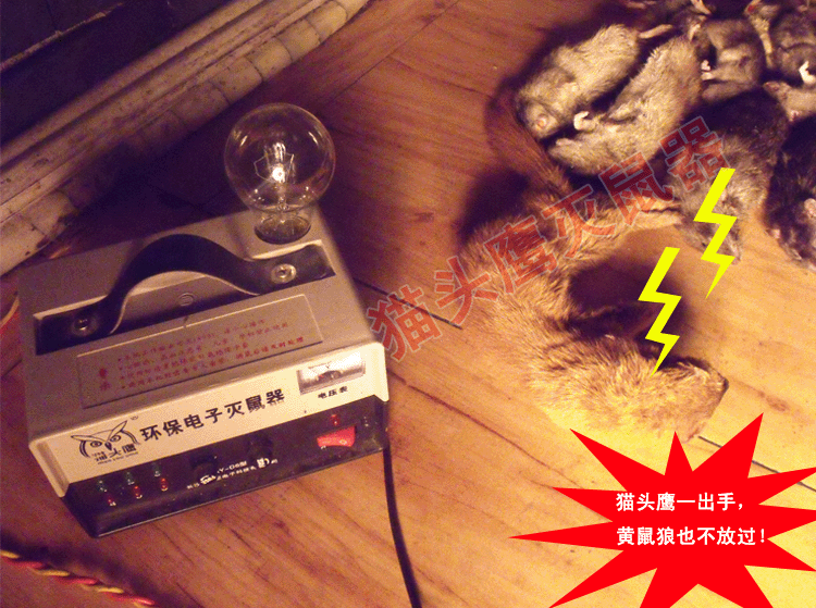 T2RCDPXXNbXXXXXXXX_!!15406486