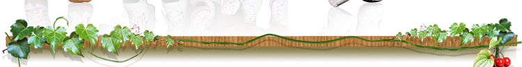 detail_qa6