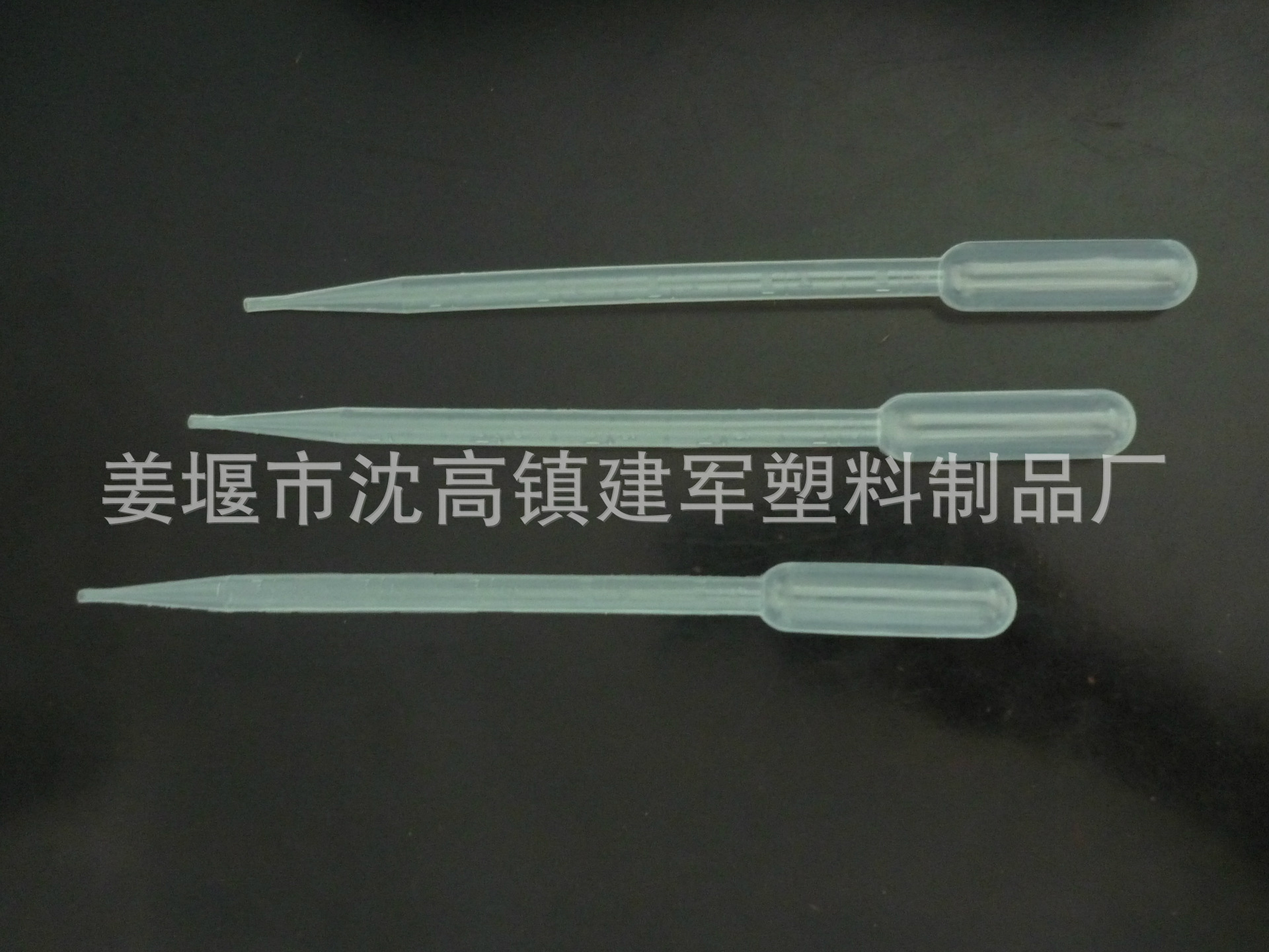 P1030290