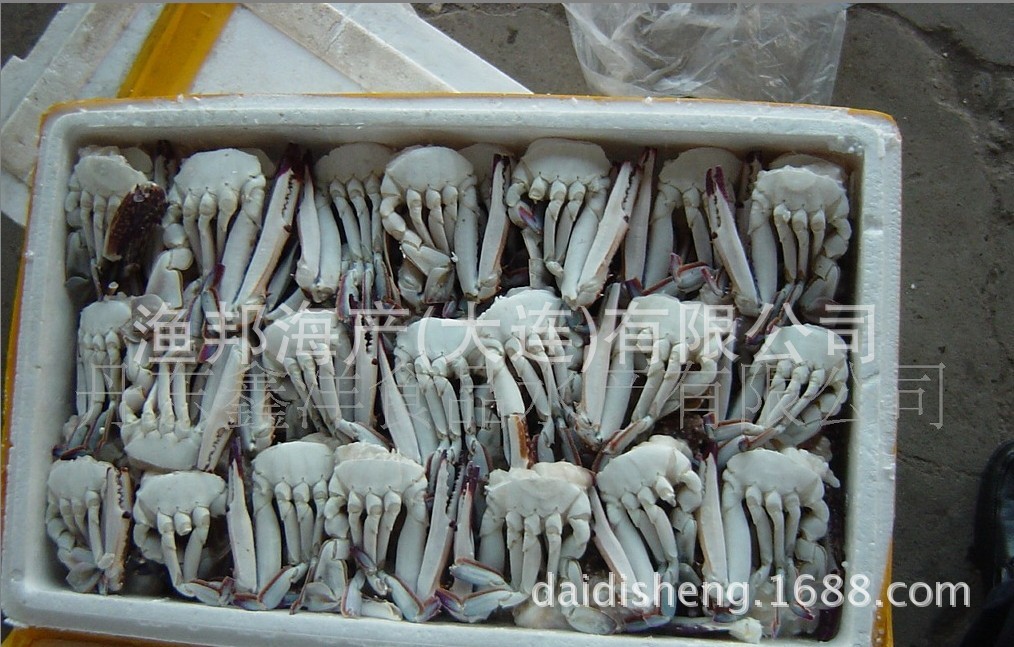 供应海鲜 速冻肥蟹 冷冻蟹类水产品 海鲜蟹类 梭