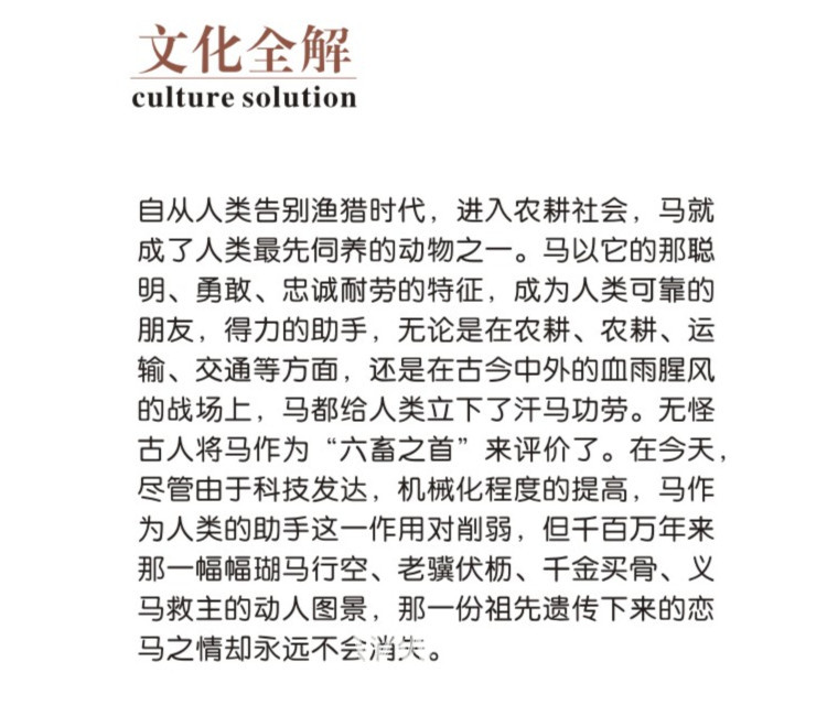 66詳情2