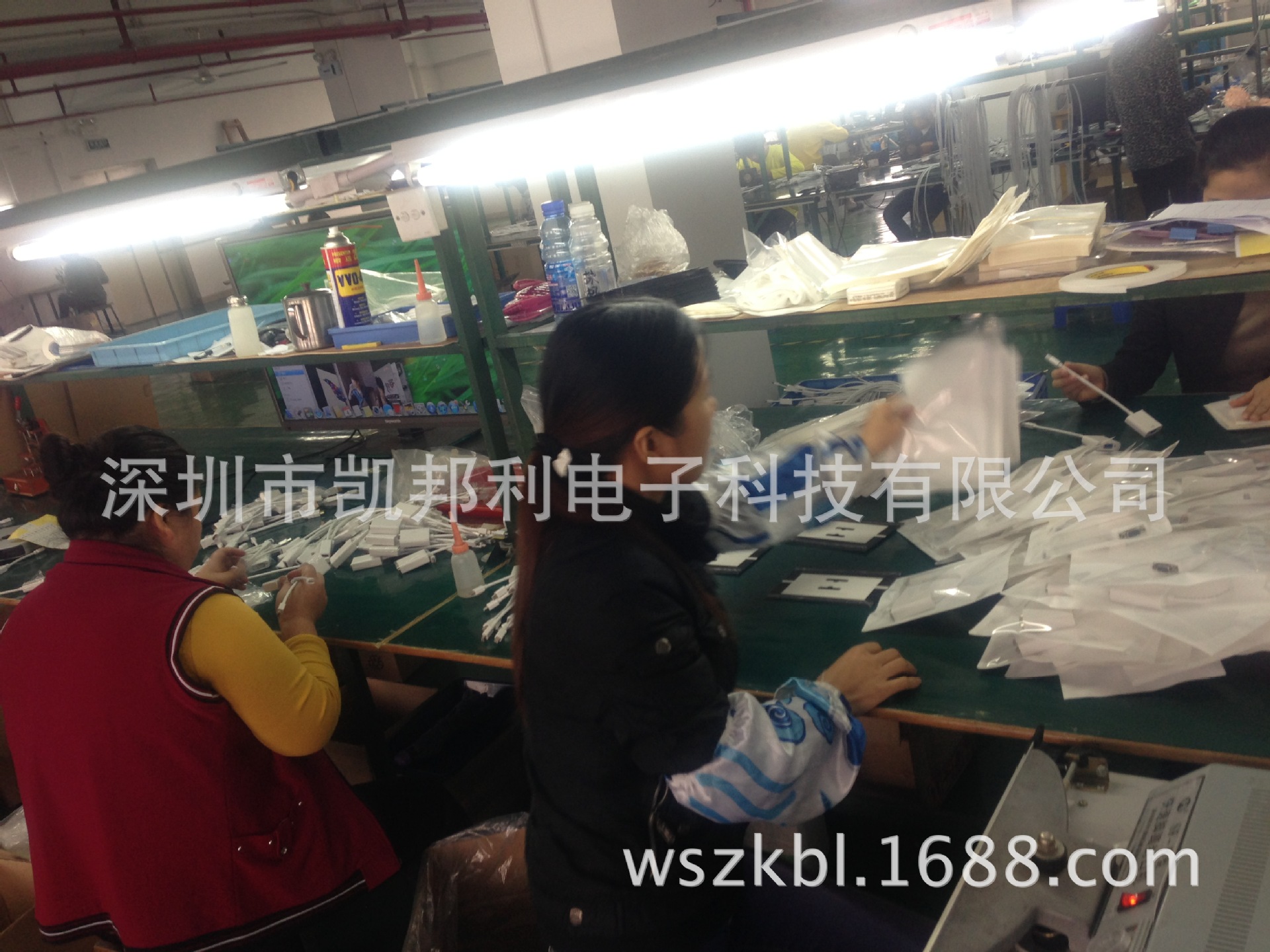 照片 303