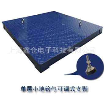 地磅1