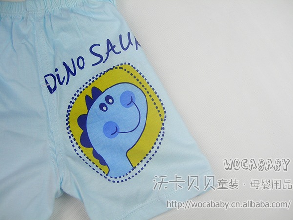 DSCN0089
