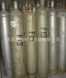 R13
