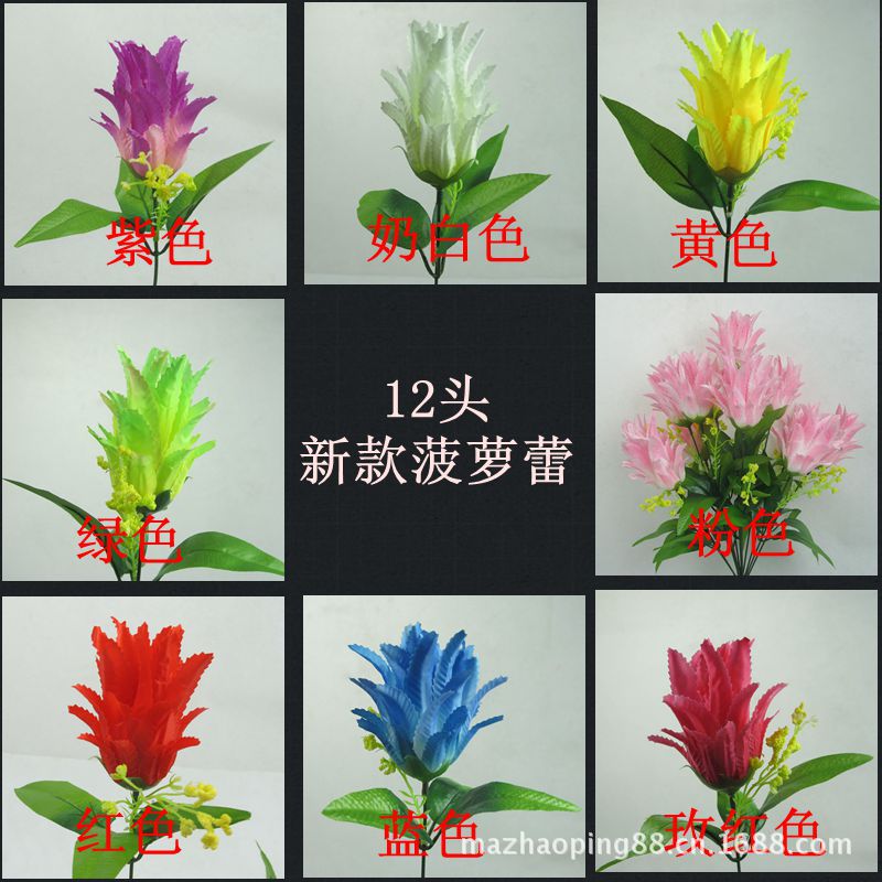 12头菠萝蕾