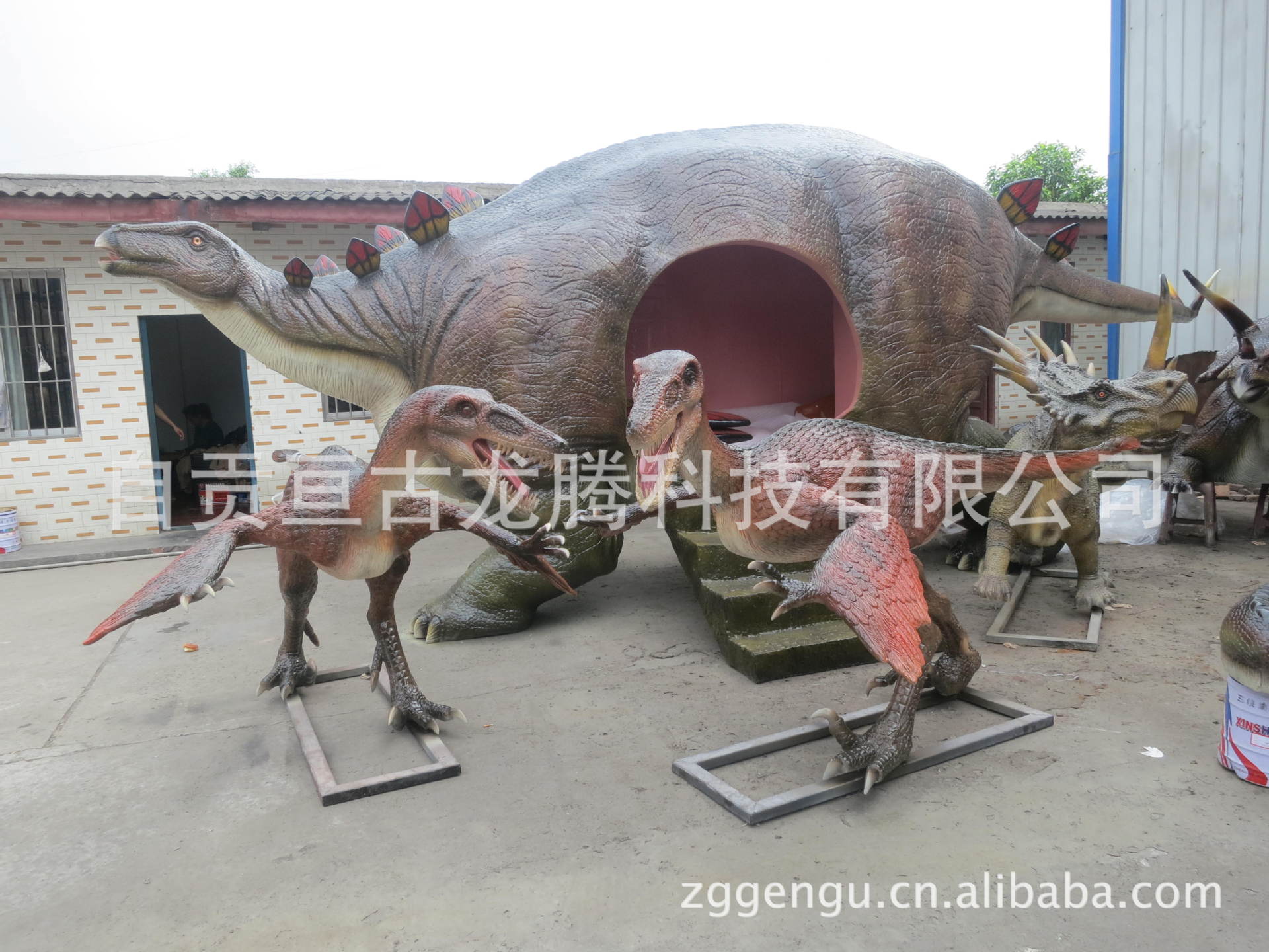 秃顶龙