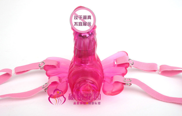 18頻率遙控蝴蝶3