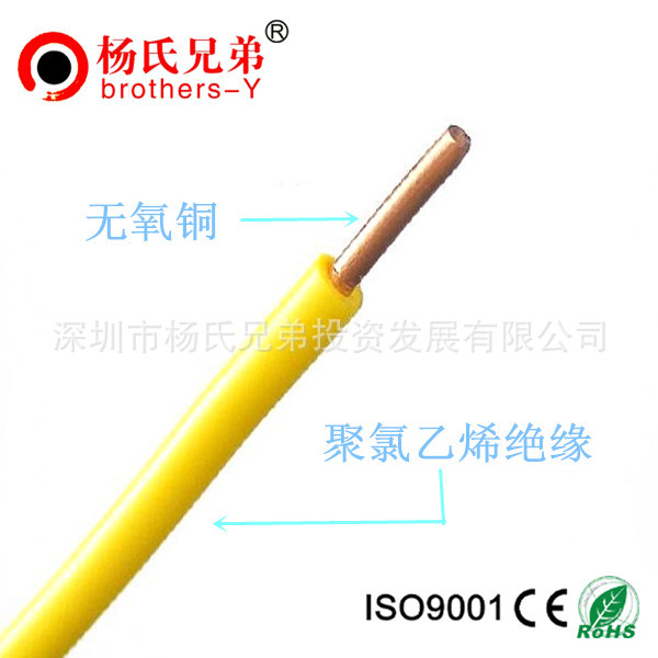 copper conductor BV electric w