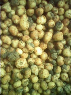 茅膏菜-采购勺叶茅膏菜苗--阿里巴巴采购平台求