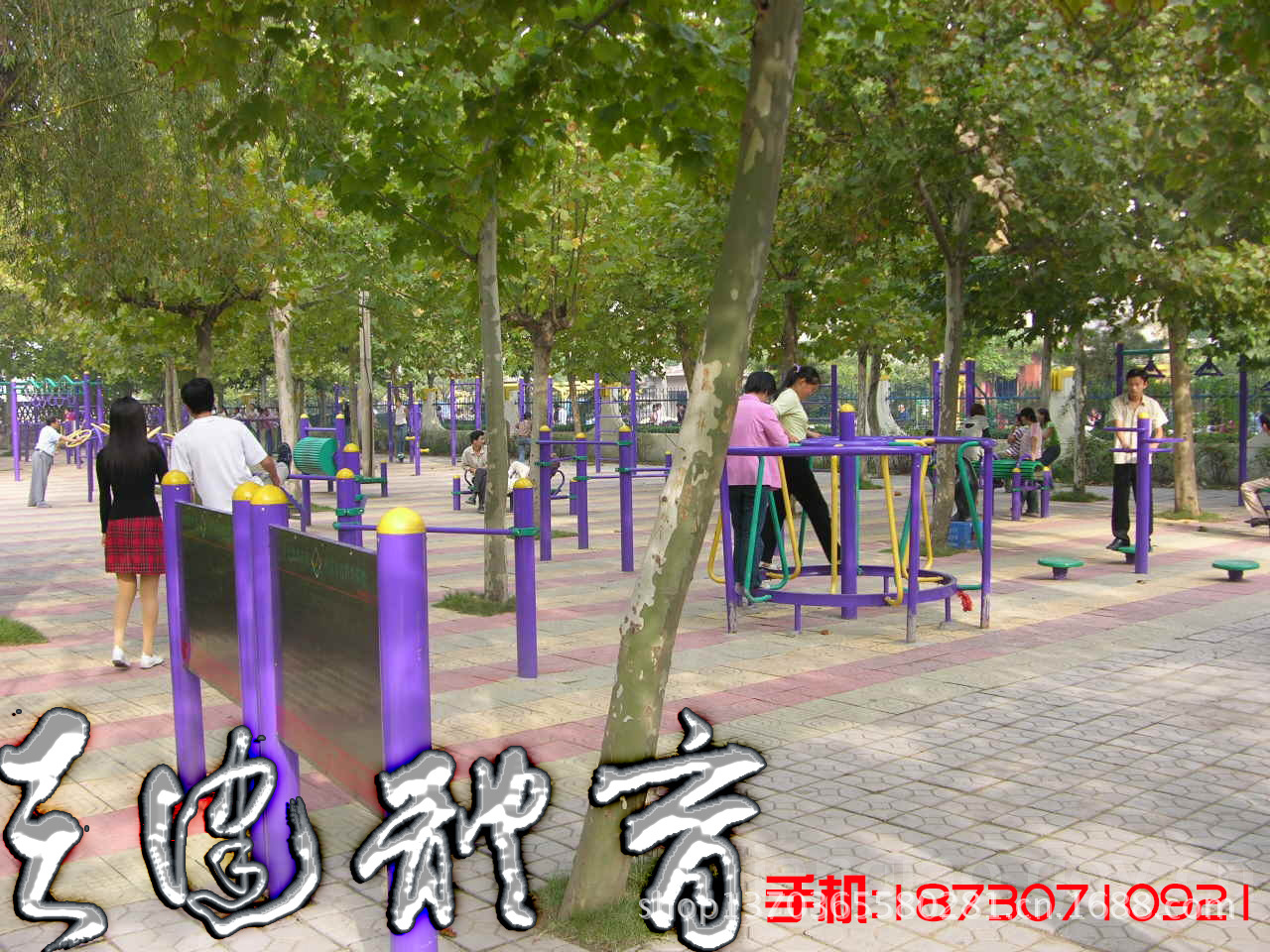 公园5
