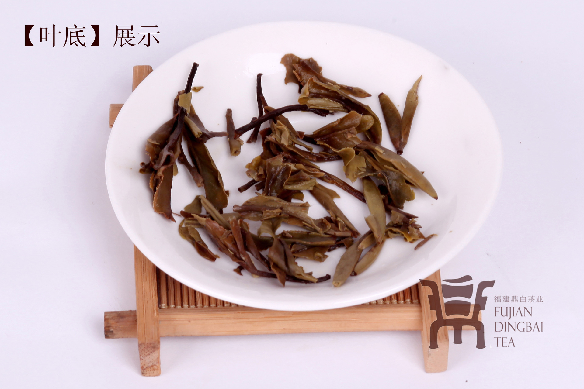 福鼎白茶批发销售 高级白牡丹 茶饼