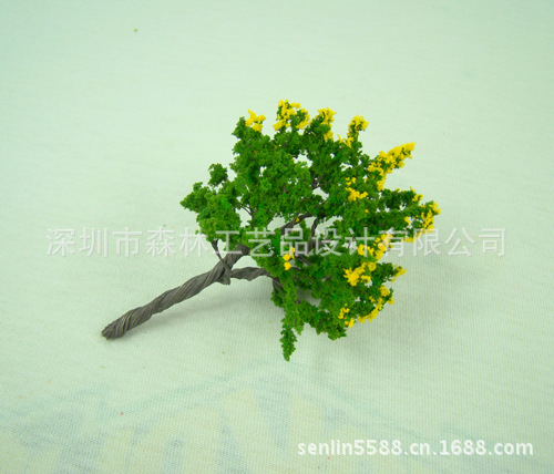 细孔黄花5