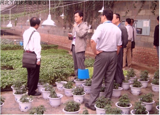 【供应植物补光灯,大棚温室的好帮手。解决阴