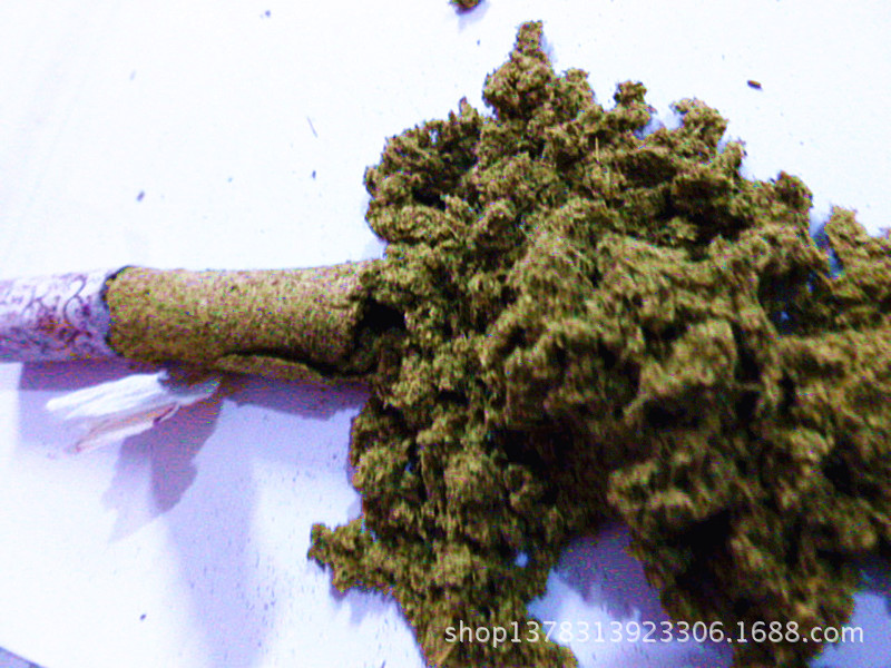 P1020008_800+600