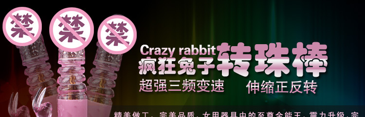 瘋狂兔子2