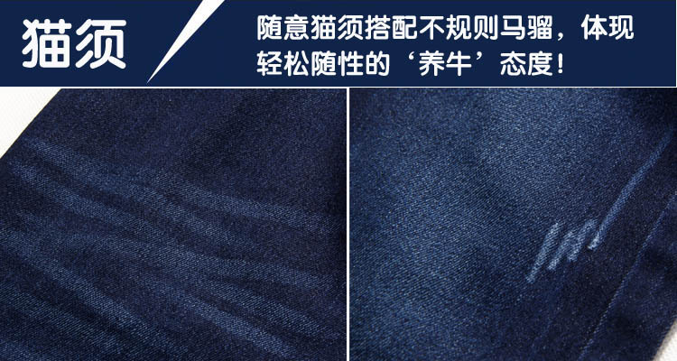 202細節 貓須
