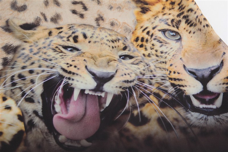 13夏季新款 女装豹纹印花雪纺裙 女式休闲舒适