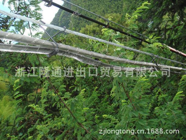 IMG100109195649146947