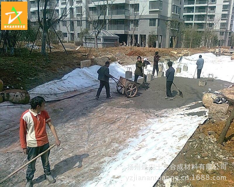 未命名5-006_conew1