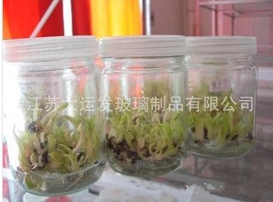 QQ图片20130925094522_副本