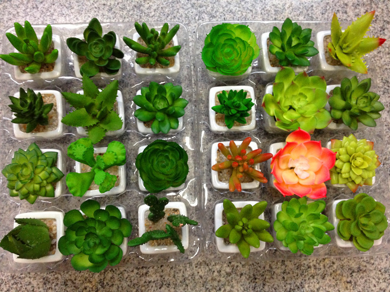【仿真多肉植物沙漠植物热带植物小盆景车载盆