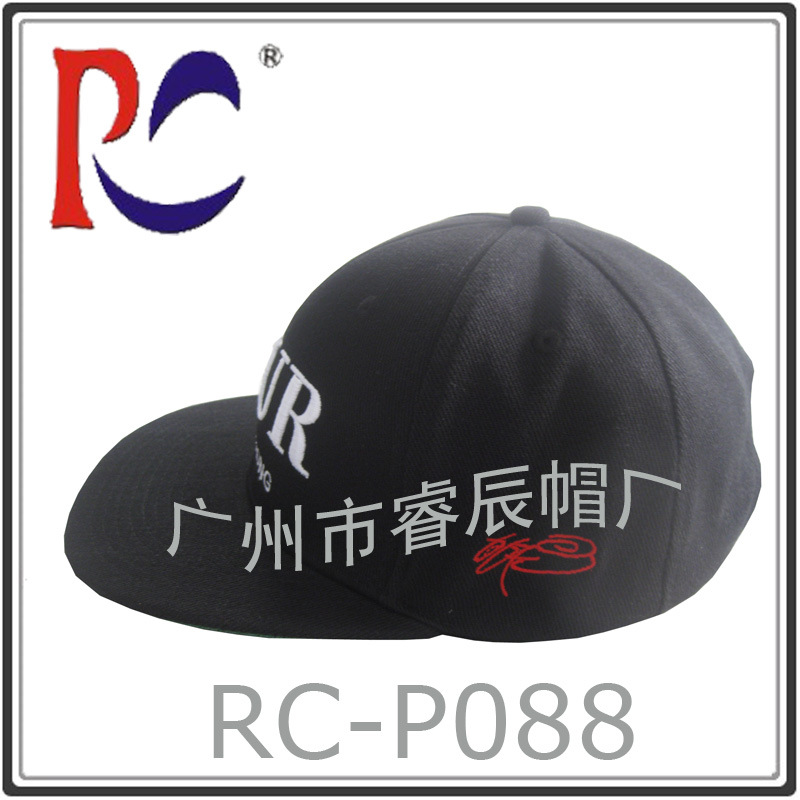RC-P088-01