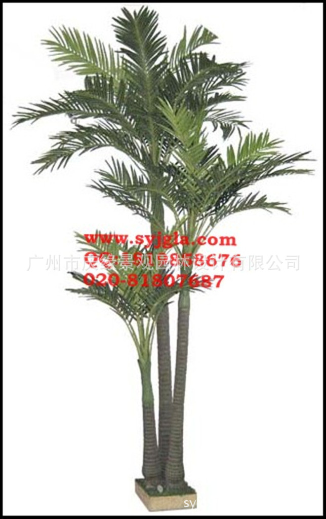 conew_sh-a1476 12尺3杆槟榔树_副本
