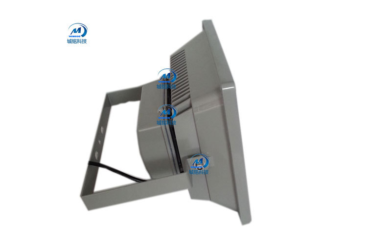 30颗BG连排透镜详图4