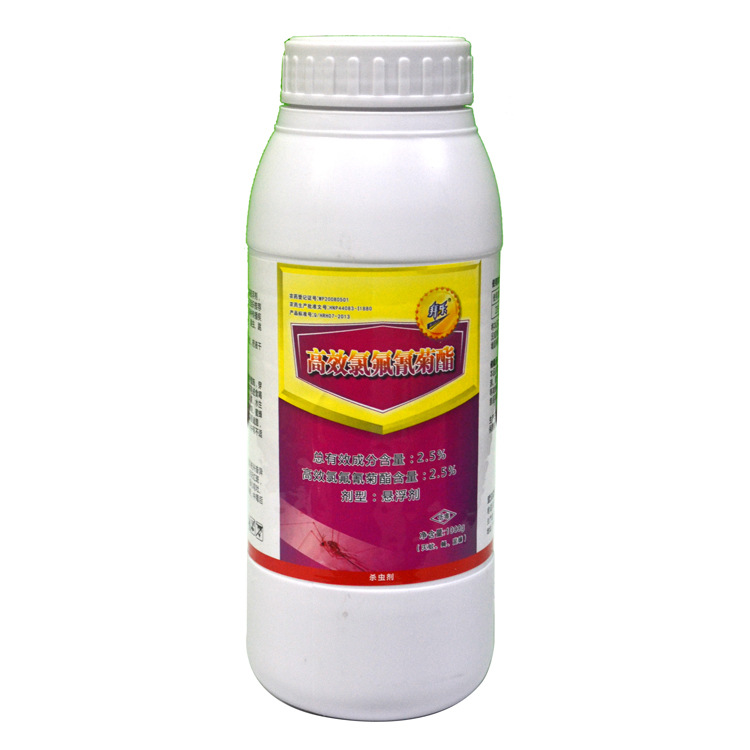 蟑螂-安徽蟑螂收购 蟑螂销售 蟑螂价格 蟑螂批