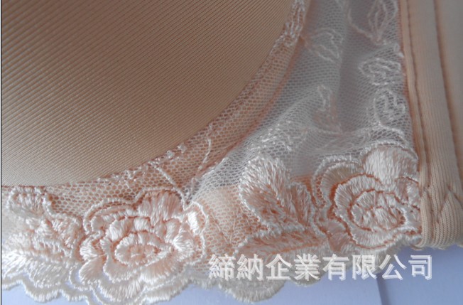 <em>文胸</em>-台湾eii bio bra <em>能量隆胸胸罩</em>功能<em>胸罩</em>治疗