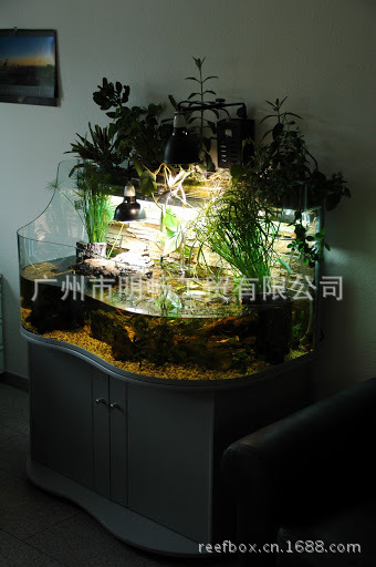 【生态鱼缸 龟缸ATA120B\/Z生态缸】价格,厂家,图片,其他水族器材,广州市明畅工贸有限公司-马可波罗网