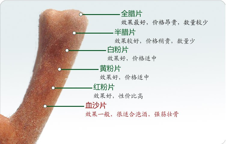 养殖鹿茸片 长白山梅花鹿茸片 正品血片图片,养殖鹿茸片 长白山梅花鹿茸片 正品血片图片大全,建德市鑫鼎农产品有限公司-2-马可波罗网