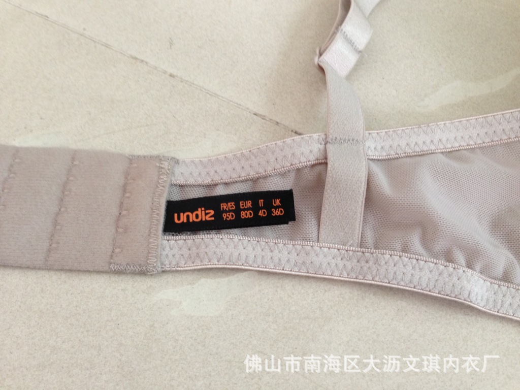 照片 529