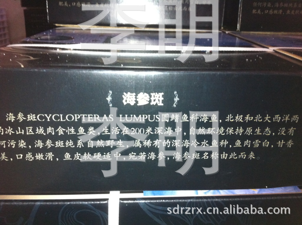 供应优质进口海产品冰岛海参斑