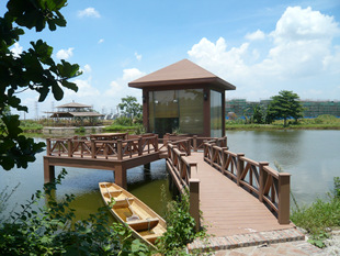 厂家直销 码头木塑铺地板,泳池水边,别墅花园 pe塑木型材地板