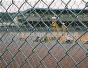 u=2860794054,4195111375&fm=23&