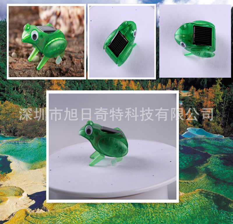 frog 40_副本青蛙主图