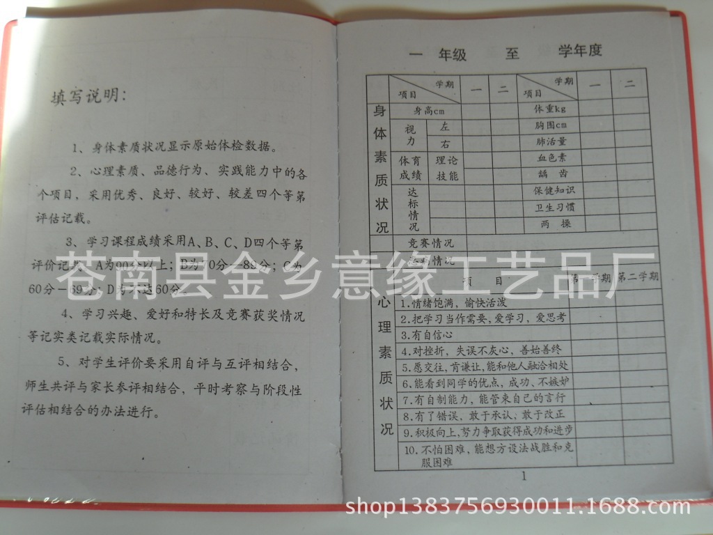 中小学生素质发展报告册