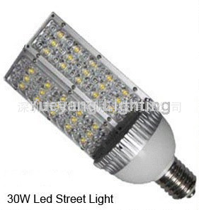 LED-Garden-Light-E40-30W-