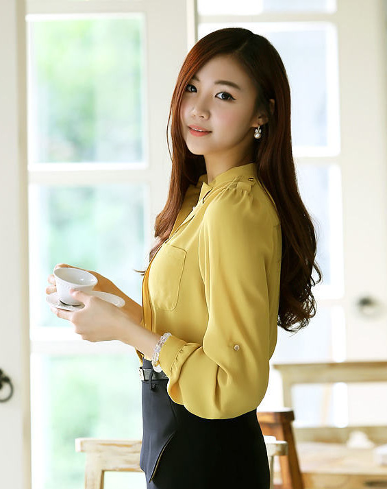2013<em>春装</em>新款<em>女式</em>衬衫<em>批发</em> 韩版女士长袖宫廷