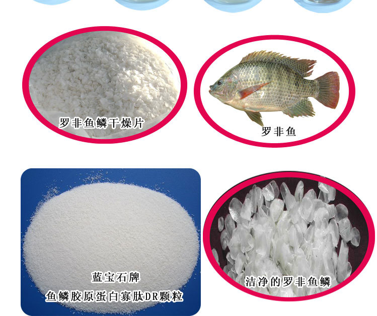 DR鱼鳞颗粒_02
