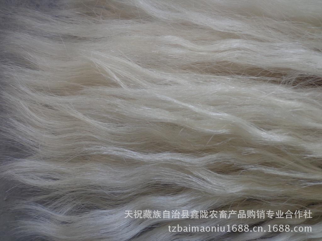 【产地直销牛毛 牛绒 牦牛绒 牦牛尾毛】价格,厂